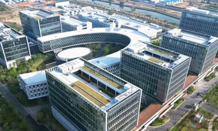 宠物玩具批发采购指南：缘源圆产品线分类与适用场景对比